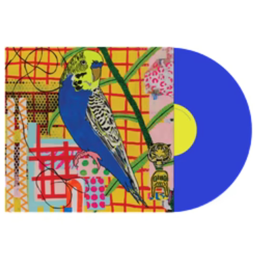 Aircooled - Eat The Gold - Blue Vinyl - BeatRelease