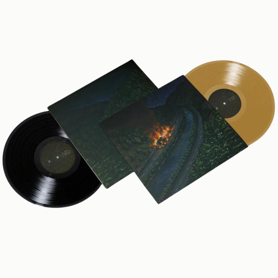 Awakebutstillinbed - Chaos Takes The Wheel And I Am A Passenger - Black & Gold Vinyl - BeatRelease